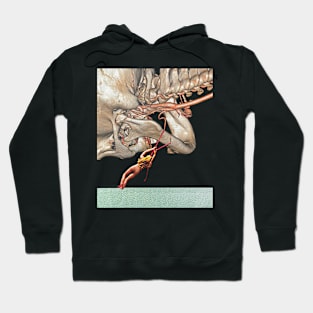 Freedom Hoodie